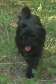Noah